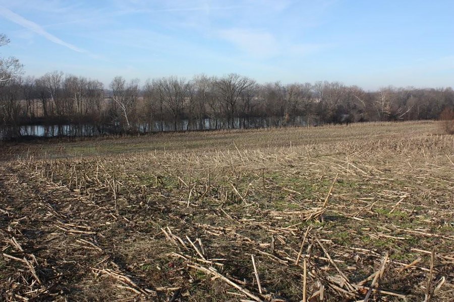 LAND AUCTION - 60+/- ACRES IN 1 TRACT IN DAVIESS COUNTY, INDIANA